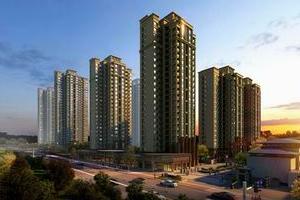 目前重点城市楼市亟须适当的政策抑制