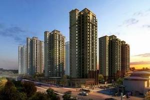 购房者开始观望 四季度楼市成交数据将进一步下行